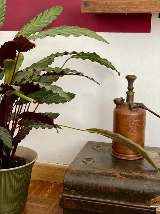 Monteverdi L'arancio Acomodação com café da manhã 
